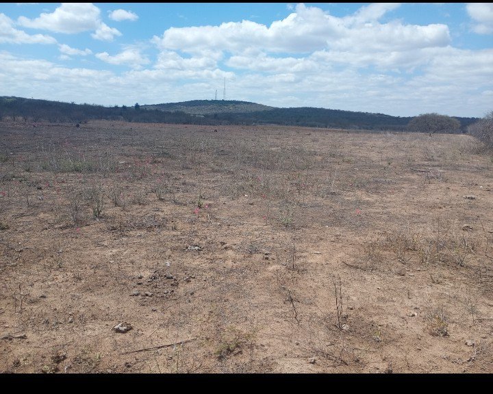 Terreno para chácara em Petrolina, PE — direto com proprietário
