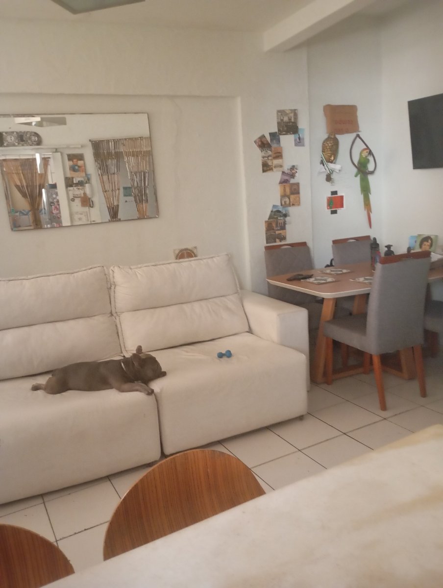 Apartamento na Praia em São Vicente, SP — direto com proprietário