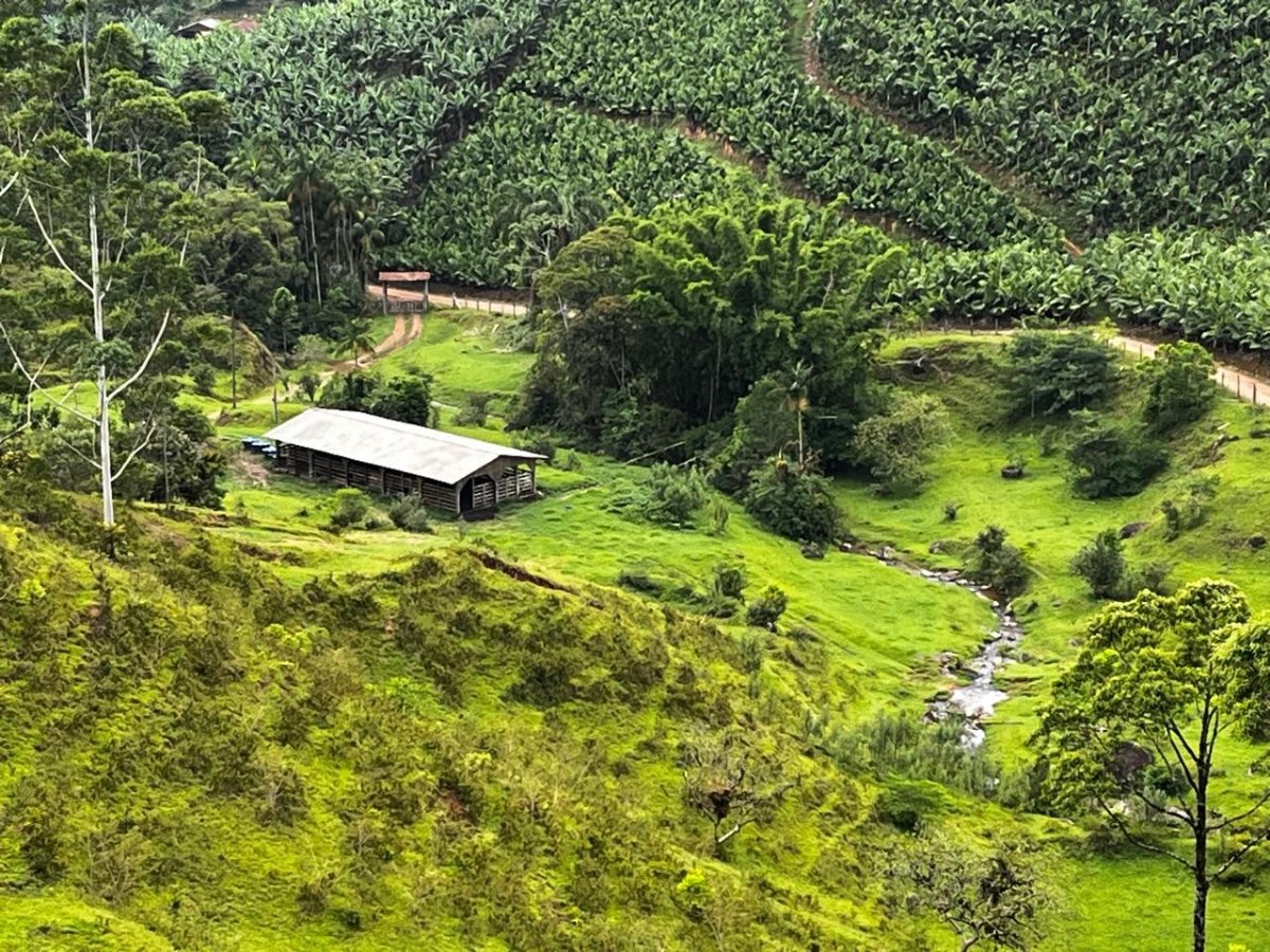 Chácara Corupá - Santa Catarina em Faxinal - Pedra de Amolar Alto, Corupa — direto com proprietário