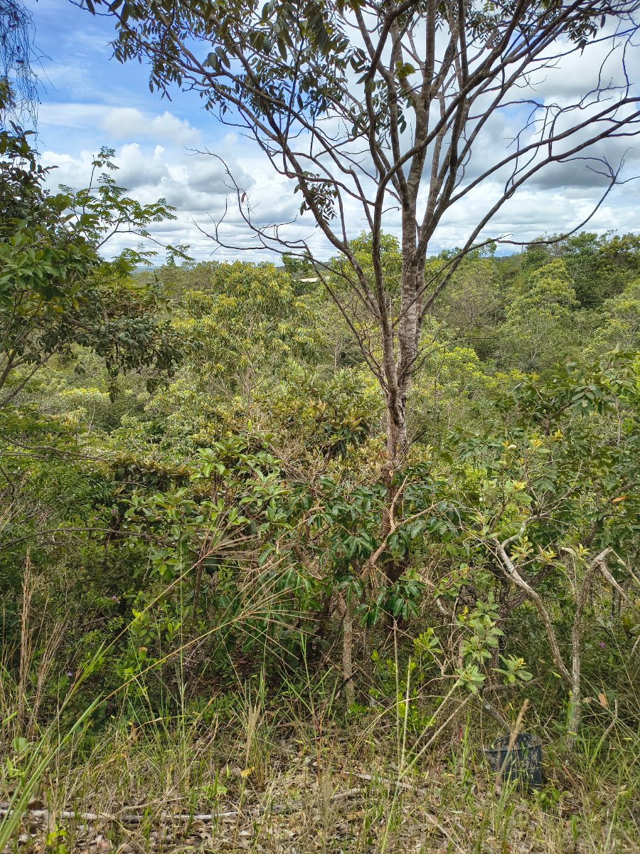 Lote em Corumbá 3. em Corumbá 3, Município de Luziânia — direto com proprietário