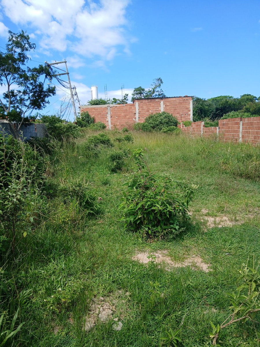 Vendo excelente terreno