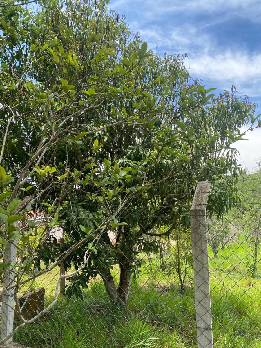 Terreno em bairro de chácara/ diretamente com o dono. Pilar do Sul/ SP