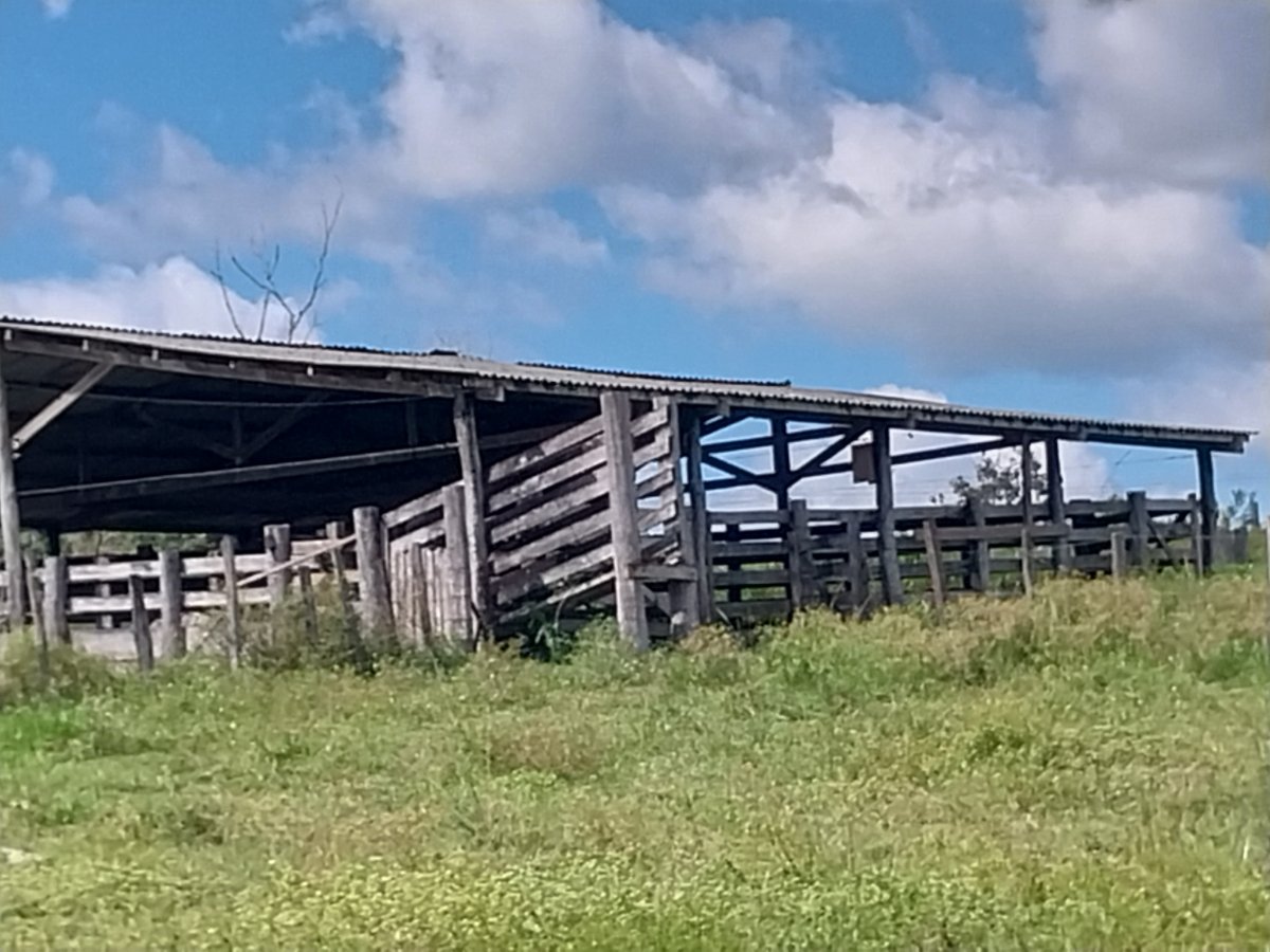 Sítio com 5 alqueires de terra. em Anapu, PA — direto com proprietário